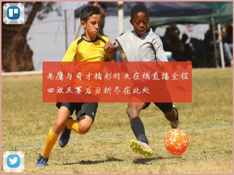 老鹰与奇才精彩对决在线直播全程回放及赛后分析尽在此处